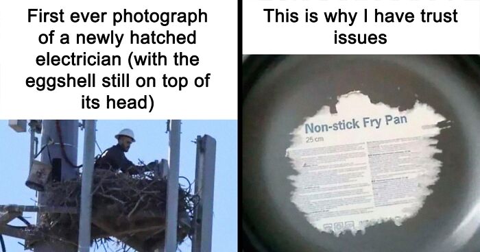 63 Memes You Might Want To Share As They’re Too Funny To Keep To Yourself