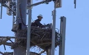 50 Memes You Might Want To Share As They’re Too Funny To Keep To Yourself