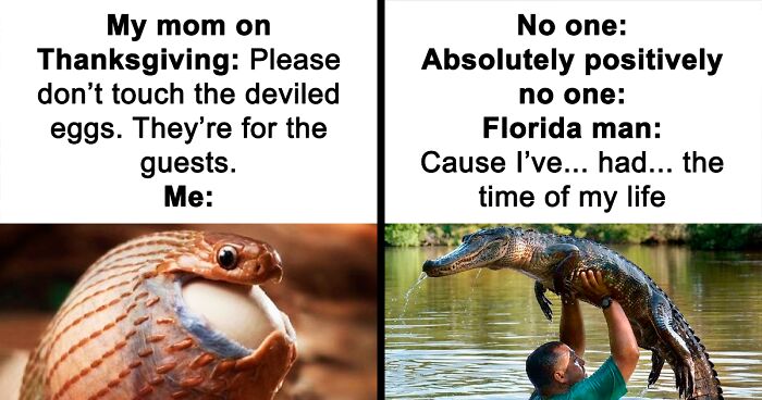 69 Cute And Sweet Animal Memes To Give You A Reason To Smile Today (New Pics)