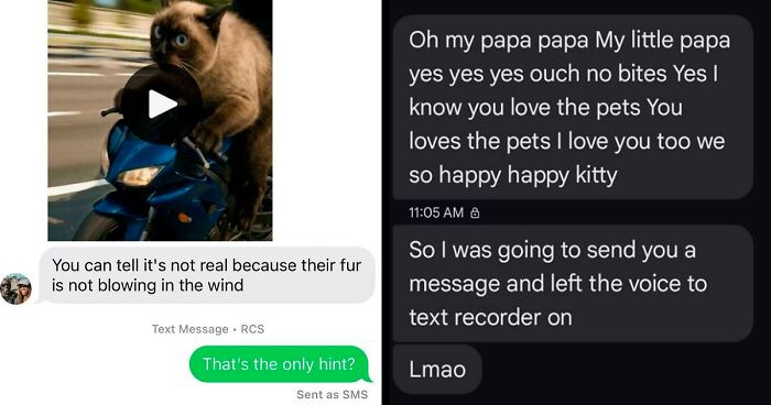 “This Roast Is Absolutely Eternal”: 54 Of The Funniest Text Conversations That Made People Laugh (New Pics)