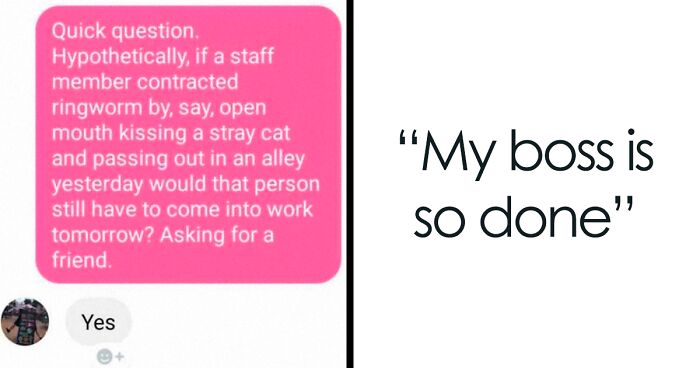 “This Roast Is Absolutely Eternal”: 54 Of The Funniest Text Conversations That Made People Laugh (New Pics)