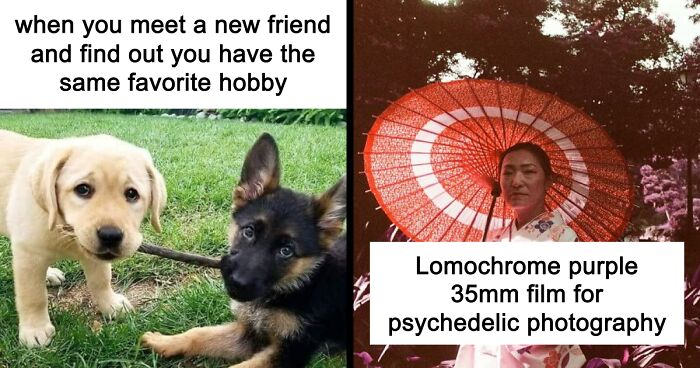 16 Gifts For Your Friend Who Sleeps, Eats, And Breathes All Things Crafty