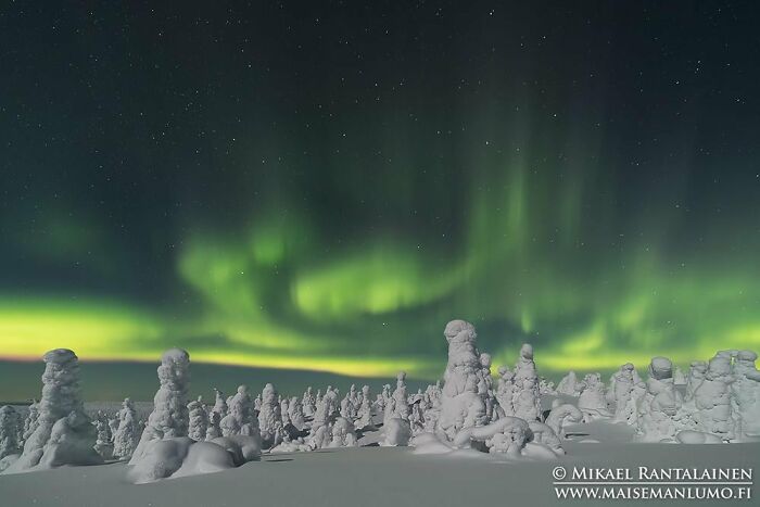 Snow-covered trees under vibrant northern lights, a stunning real place that looks AI generated from around the world.