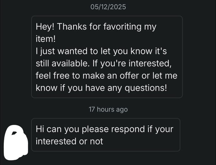 Conversation on Vinted showing a seller politely following up after a long delay with a potential buyer.