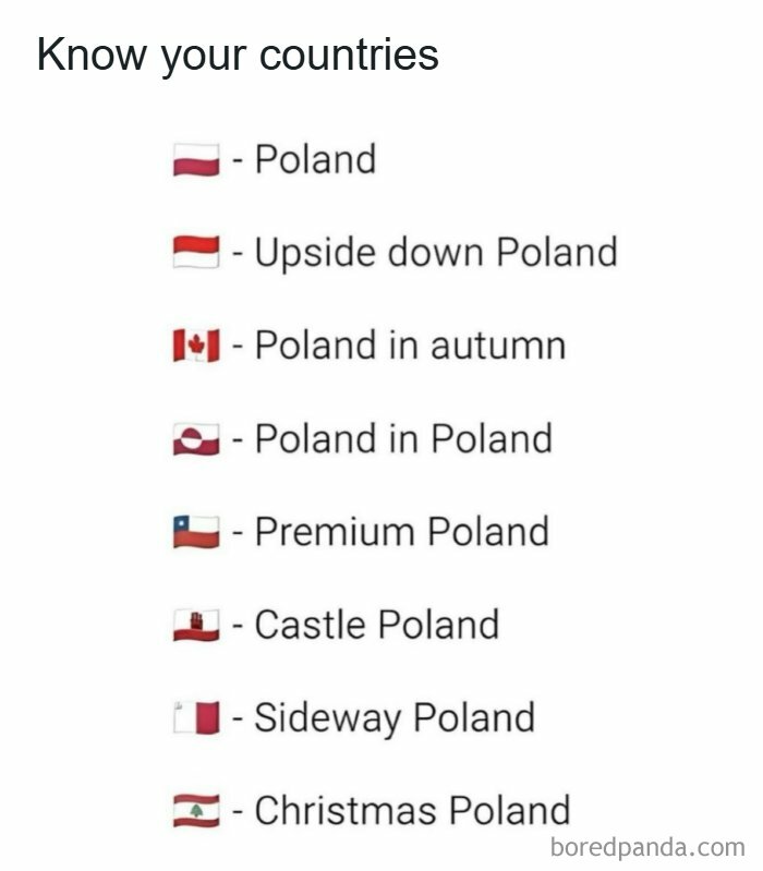Humorous dad joke listing different versions of Poland flags with playful and funny descriptions.