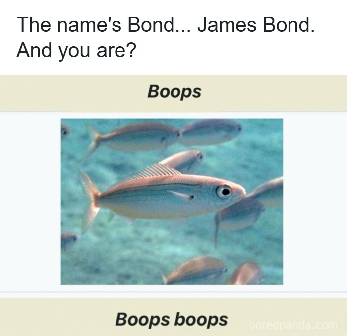 A playful dad joke featuring a fish named Boops in a humor collection dedicated entirely to funny dad jokes.