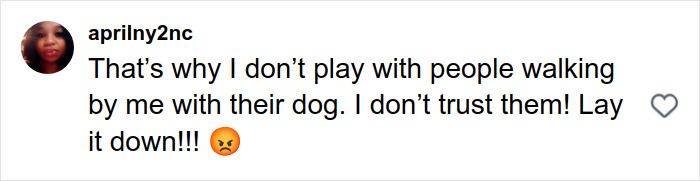 User comment on social media expressing mistrust of people walking with dogs, warning to lay dogs down, with angry emoji. User comment on social media expressing mistrust of people walking with dogs, warning to lay dogs down, with angry emoji.
