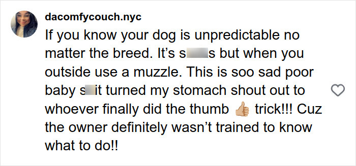Comment warning about unpredictable dog behavior and urging use of muzzle to prevent pit bull attacks on toddlers. Comment warning about unpredictable dog behavior and urging use of muzzle to prevent pit bull attacks on toddlers.