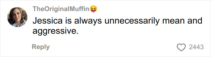 Screenshot of a social media comment highlighting rude behavior linked to millennial women in the Karen era conversation.