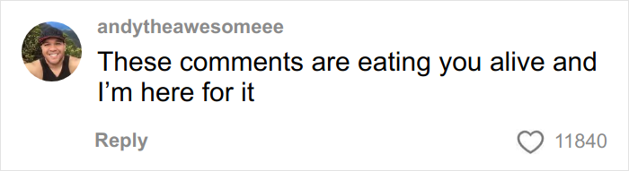 Commenter andytheawesomeee sharing a humorous remark about noisy airplane parents and kids in an online discussion.