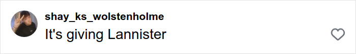 Comment on social media post expressing that the photo reminds them of Lannister, linked to viral mother-son photoshoot and parenting debate. Comment on social media post expressing that the photo reminds them of Lannister, linked to viral mother-son photoshoot and parenting debate.