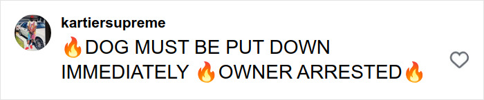 Comment on social media post expressing urgent demand to put down dog immediately after pit bull attack on toddler.