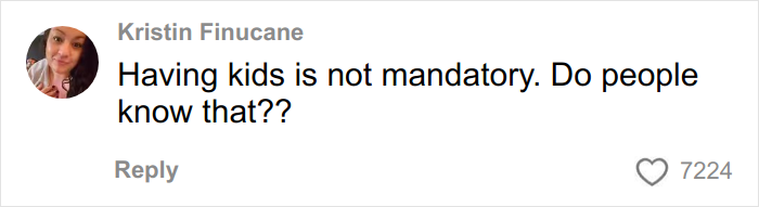Comment from Kristin Finucane questioning if having kids is mandatory, reflecting on parents and kids airplane noise concerns.