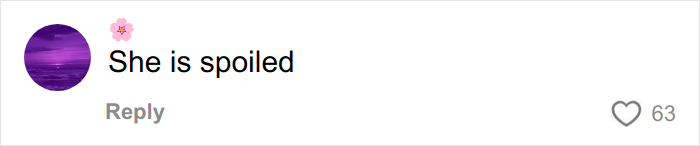 Comment saying she is spoiled, related to Christmas gift haul for daughter backlash on social media.