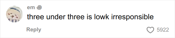 Comment saying three under three is lowkey irresponsible, highlighting airplane parents kids noise concerns about managing young children.