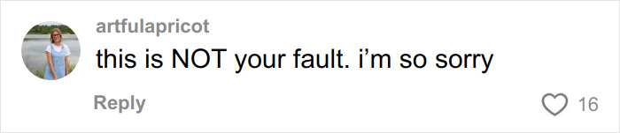 Comment on social media from user artfulapricot expressing support by saying "this is NOT your fault. i'm so sorry." Comment on social media from user artfulapricot expressing support by saying "this is NOT your fault. i'm so sorry."