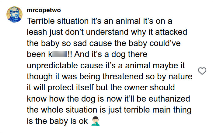 Comment discussing a pit bull attack on toddler, expressing confusion and concern over dog behavior and owner's responsibility. Comment discussing a pit bull attack on toddler, expressing confusion and concern over dog behavior and owner's responsibility.