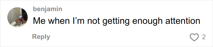 Social media user’s humorous comment about not getting enough attention, illustrating woke social media troll reaction. Social media user’s humorous comment about not getting enough attention, illustrating woke social media troll reaction.
