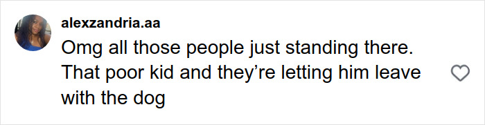 Comment on social media post expressing concern about a pit bull attack involving a toddler on a crowded Manhattan street.