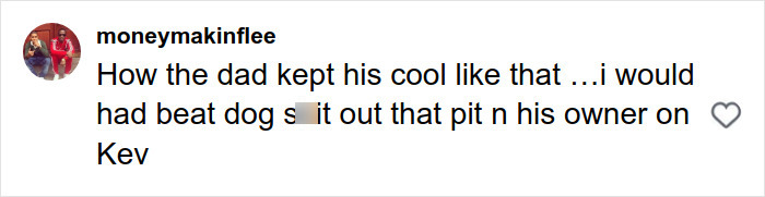 Comment about a pit bull attack, expressing anger towards the dog and owner for the incident in Manhattan. Comment about a pit bull attack, expressing anger towards the dog and owner for the incident in Manhattan.