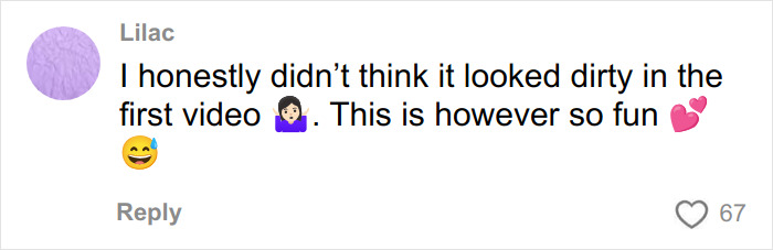 Screenshot of a fan comment reacting to Elton John clapping back after kitchen detail trolling. Screenshot of a fan comment reacting to Elton John clapping back after kitchen detail trolling.