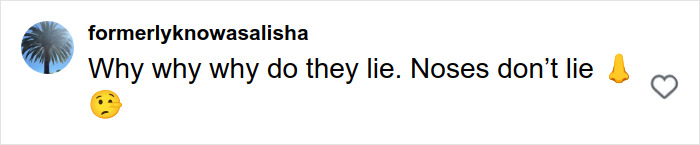 Screenshot of a social media comment saying noses don't lie in response to Britanny Snow plastic surgery rumors. Screenshot of a social media comment saying noses don't lie in response to Britanny Snow plastic surgery rumors.