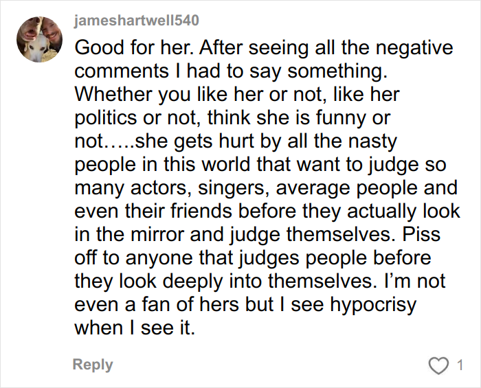 User comment defending Amy Schumer, highlighting negativity and judgment from others on her appearance and character online.