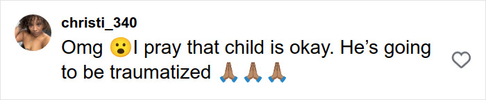 Comment expressing concern and prayer for toddler’s safety after pit bull attack on busy Manhattan street.