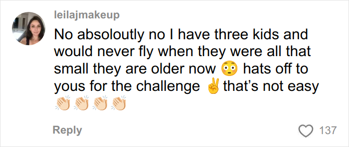 Comment from parent about challenges of flying with kids and managing airplane noise during travel.