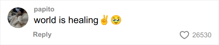 Comment on social media post by user papito saying world is healing with peace sign and teary-eyed emojis.
