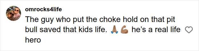 Comment praising a man for saving a toddler's life by putting a chokehold on a pit bull during an attack on a busy Manhattan street. Comment praising a man for saving a toddler's life by putting a chokehold on a pit bull during an attack on a busy Manhattan street.