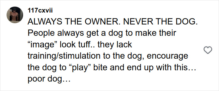 Comment on a pit bull attack, emphasizing owner responsibility and lack of dog training leading to aggressive behavior.