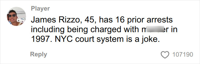Comment accusing James Rizzo of multiple arrests and criticizing the NYC court system in an online discussion. Comment accusing James Rizzo of multiple arrests and criticizing the NYC court system in an online discussion.