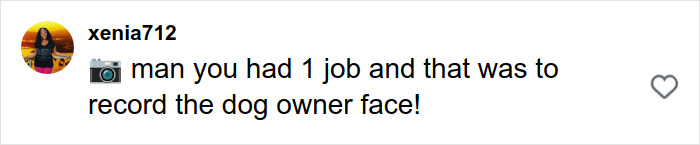 Comment on social media post expressing frustration that the dog owner’s face was not recorded during a pit bull attack incident. Comment on social media post expressing frustration that the dog owner’s face was not recorded during a pit bull attack incident.