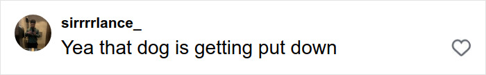 Comment reading sirrrrlance_ saying Yea that dog is getting put down, referencing pit bull attacks toddler on packed Manhattan street. Comment reading sirrrrlance_ saying Yea that dog is getting put down, referencing pit bull attacks toddler on packed Manhattan street.