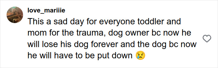 Comment expressing sadness over toddler trauma after pit bull attack and consequences for dog owner and dog. Comment expressing sadness over toddler trauma after pit bull attack and consequences for dog owner and dog.