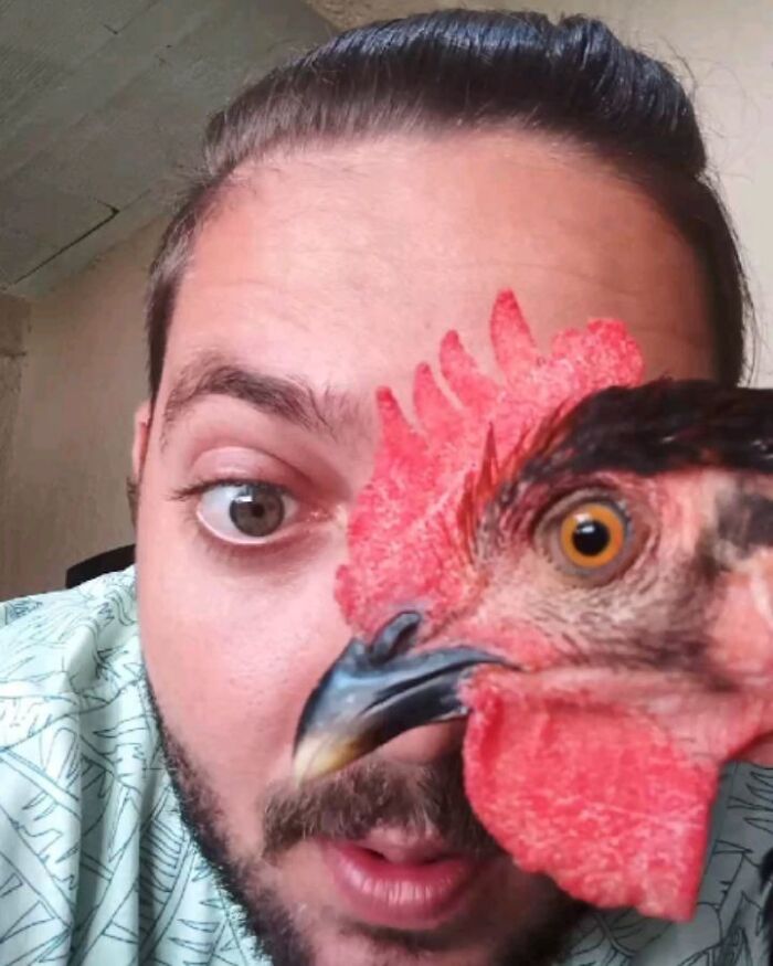 Close-up of a wild vulture and a man showing their unique bond, inspiring viewers to call it a dog with wings. Close-up of a wild vulture and a man showing their unique bond, inspiring viewers to call it a dog with wings.