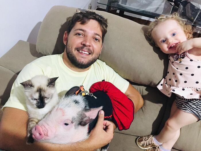 Man sitting on a couch holding a small pig and cat, with a toddler standing nearby, showcasing a close animal bond. Man sitting on a couch holding a small pig and cat, with a toddler standing nearby, showcasing a close animal bond.