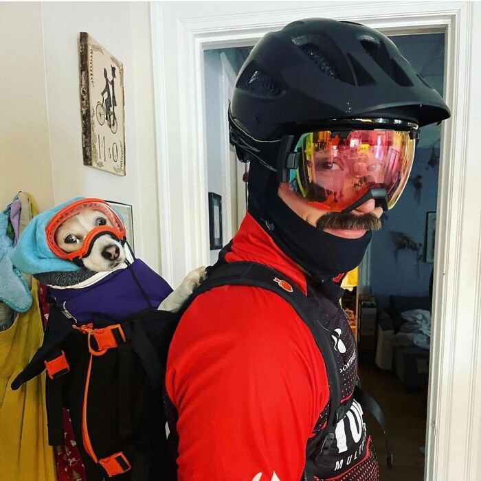 Man wearing helmet and goggles carrying a small dog in a backpack, both ready for city adventures with dogs in backpacks.