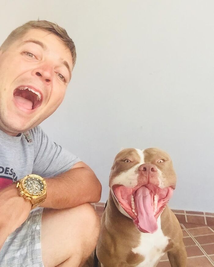 Man with a large watch happily posing next to a brown and white dog with tongue out and a joyful expression. Man with a large watch happily posing next to a brown and white dog with tongue out and a joyful expression.