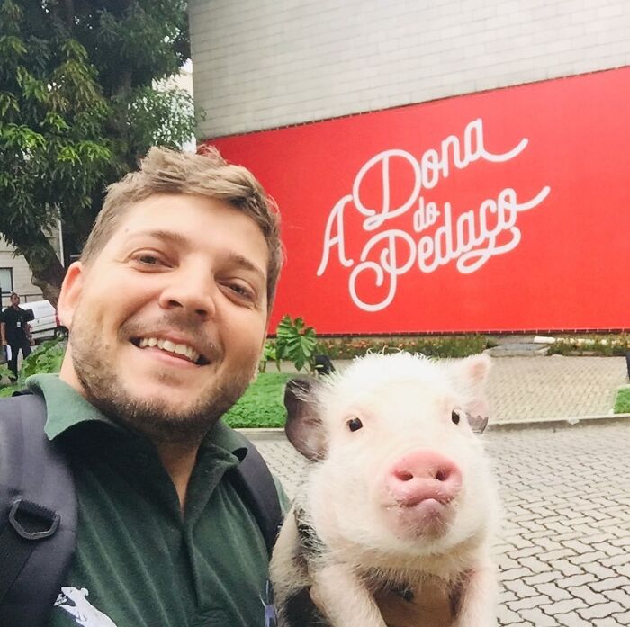 Man smiling outdoors holding a piglet, unrelated to a wild vulture bonded with a human, dog with wings concept. Man smiling outdoors holding a piglet, unrelated to a wild vulture bonded with a human, dog with wings concept.