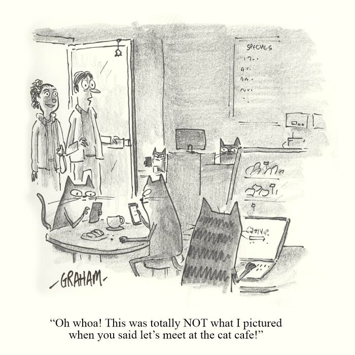One panel comic by Graham Annable showing cats using devices in a cafe with surprised visitors at the door.