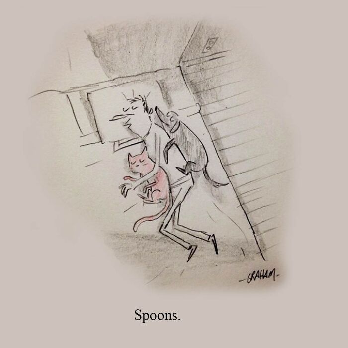 Graham Annable one panel comic showing a man spooning with a cat and a dog in a simple sketch style.