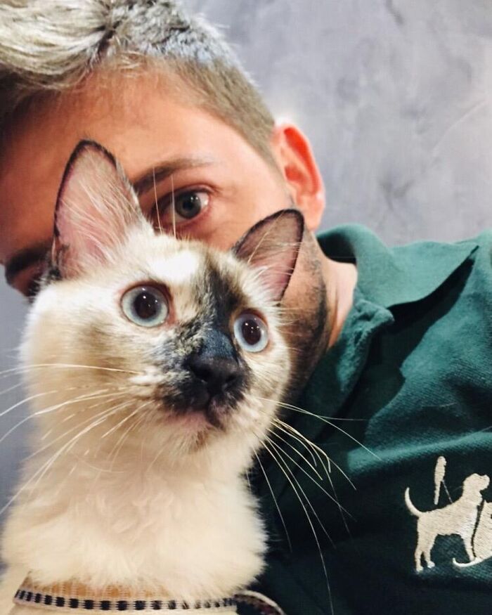 Man in a green shirt closely posing with a Siamese cat, highlighting an unusual bond like a wild vulture and human connection. Man in a green shirt closely posing with a Siamese cat, highlighting an unusual bond like a wild vulture and human connection.