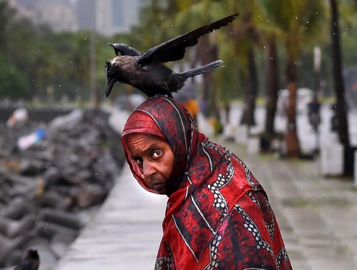 Woman wearing a red patterned shawl with a crow landing on her head in a stunning street photo capturing everyday life in Mumbai