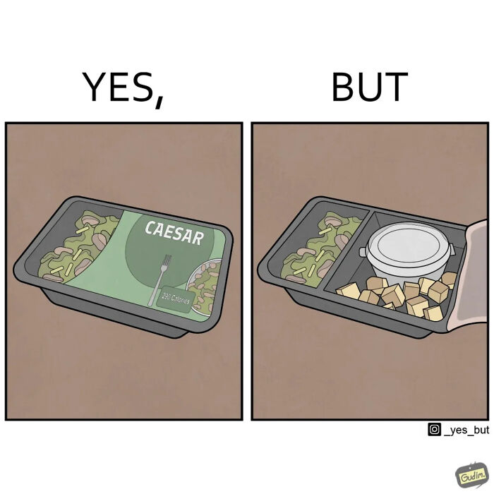 Comic showing a meal tray labeled Caesar salad with separate containers, illustrating funny yes but comics about modern life.