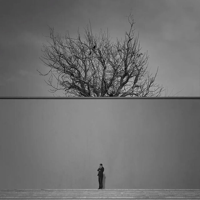 Minimalism photography showing a lone person beside a large wall with a bare tree above, capturing striking artistic simplicity.