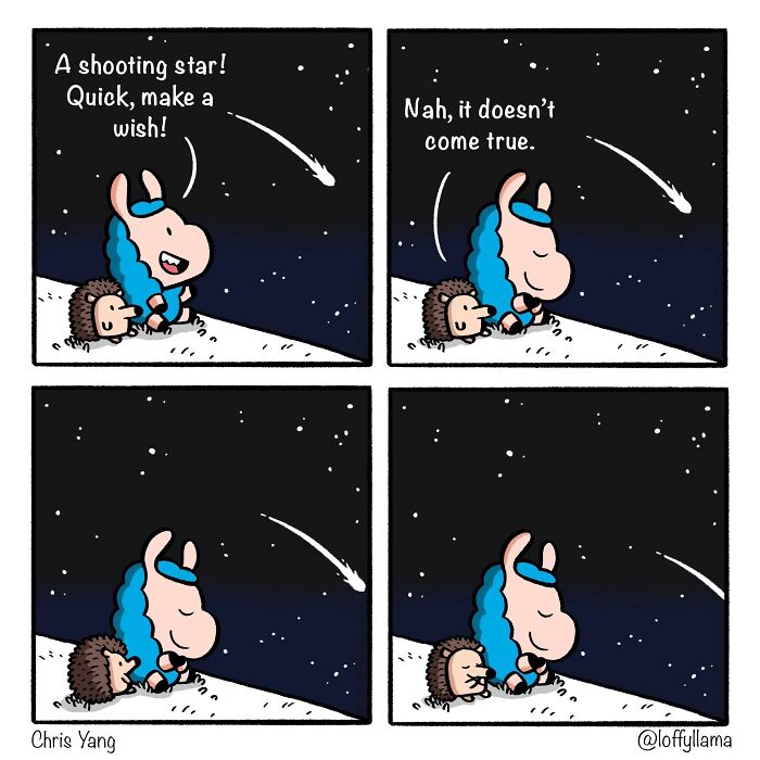Cartoon of a llama and a hedgehog watching a shooting star, depicting their wholesome friendship in a night sky scene.