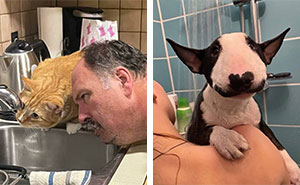 39 Hilarious “Important Animal Images,” As Shared By This Page Dedicated To All Sizes And Species (New Pics)