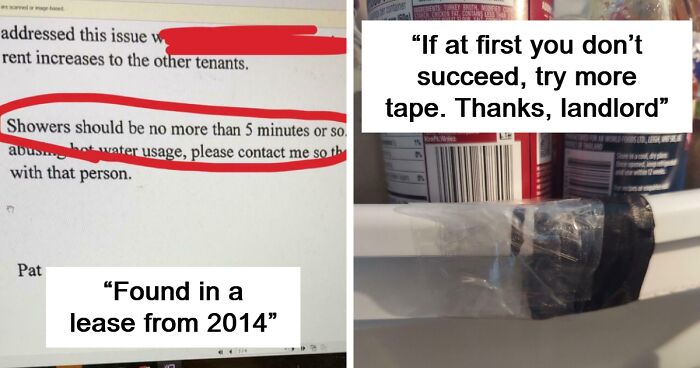 64 Rental Nightmares Where Landlords Tried To Cut Corners And Got Exposed